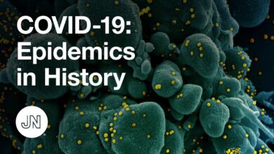 coronavirus history