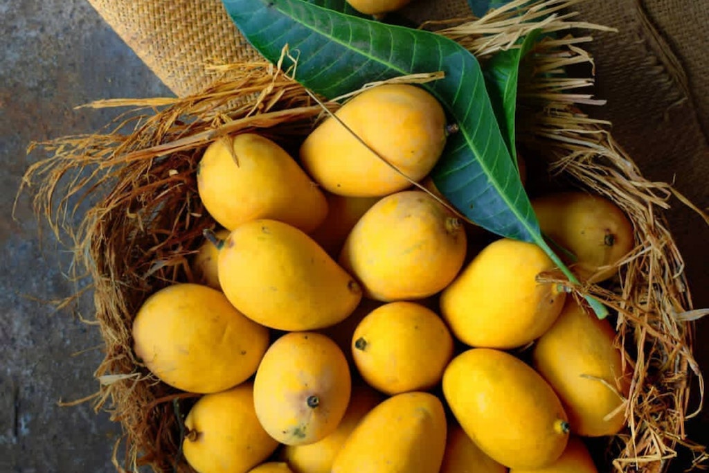 Popular Mango Varieties
