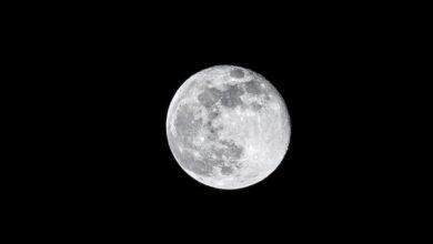 Full Moon November 2023